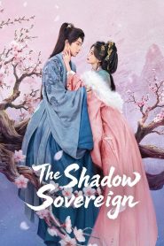 The Shadow Sovereign