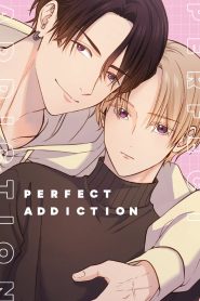 Perfect Addiction