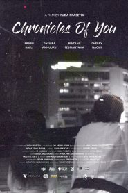 Chronicles of You