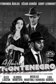 The Montenegro Affair